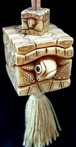 Box Turtle on Toggle